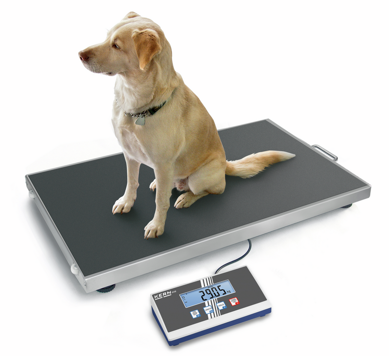 Veterinary scales