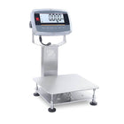 Bench and Compact scales