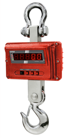 Crane scales
