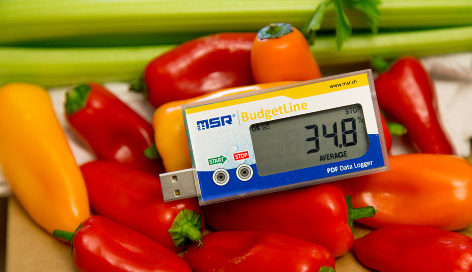 MSR86 BudgetLine: temperatuuriandmeloger