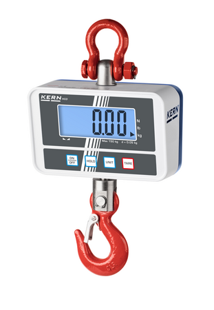 Crane Scale HCD 100K-2D